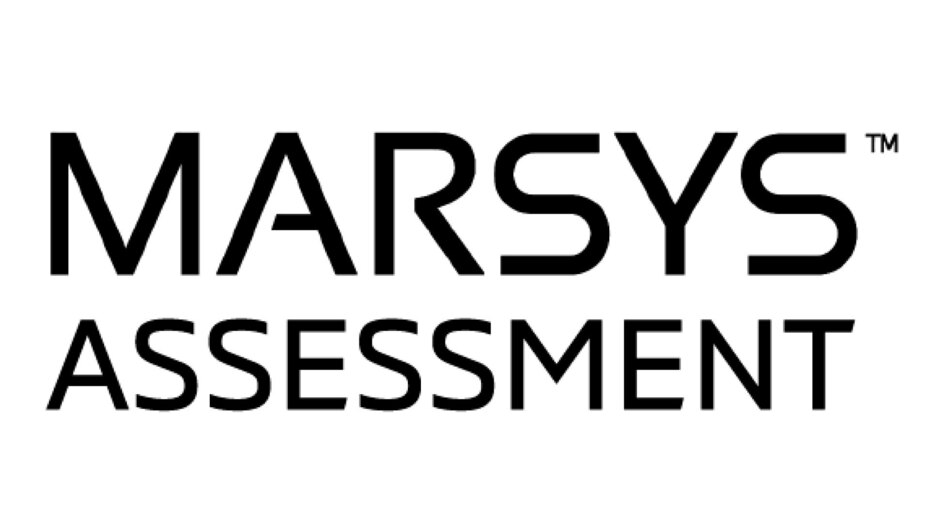 マーケティングシステム基盤のアセスメントサービス「HAKUHODO Marsys Assessment」
